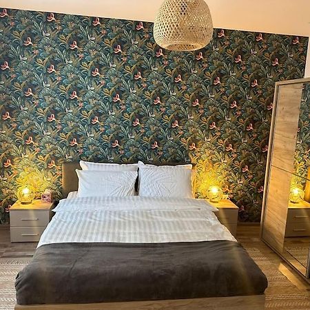 Newlevel Studio Брашов Экстерьер фото