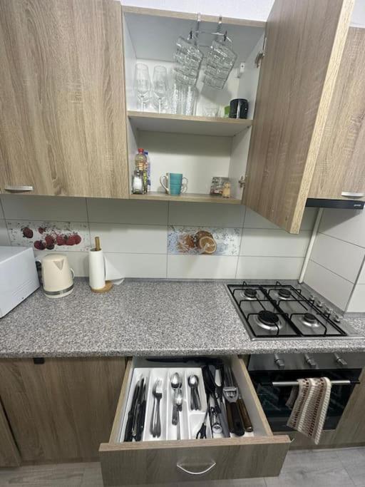 Newlevel Studio Брашов Экстерьер фото