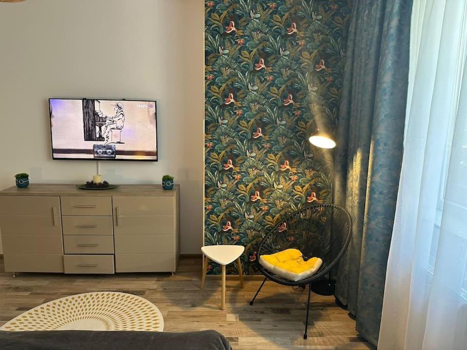 Newlevel Studio Брашов Экстерьер фото