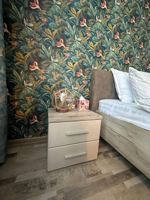 Newlevel Studio Брашов Экстерьер фото