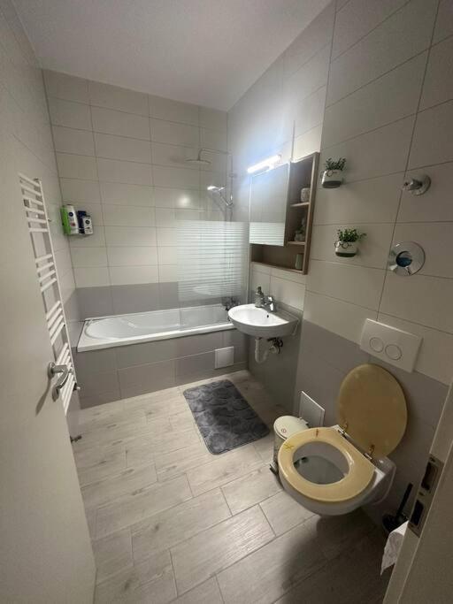 Newlevel Studio Брашов Экстерьер фото