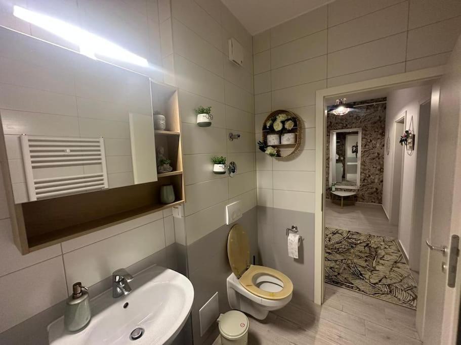 Newlevel Studio Брашов Экстерьер фото